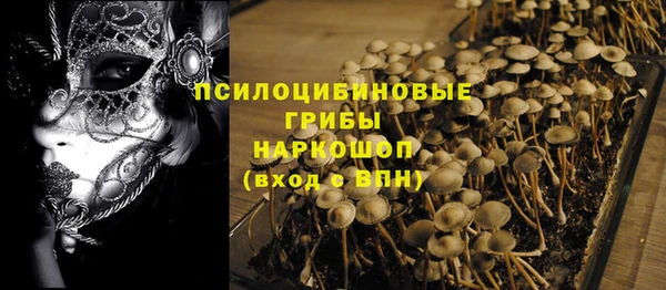 прущая мука Алзамай