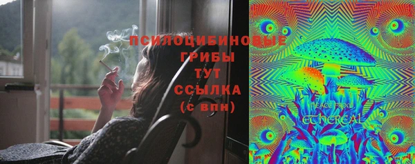 прущая мука Алзамай