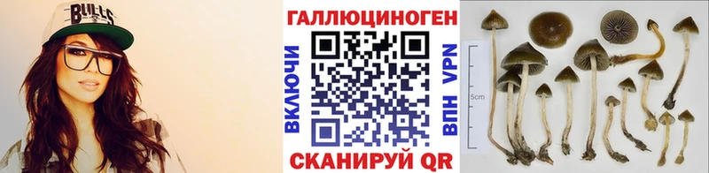 Псилоцибиновые грибы прущие грибы  хочу наркоту  Дюртюли 